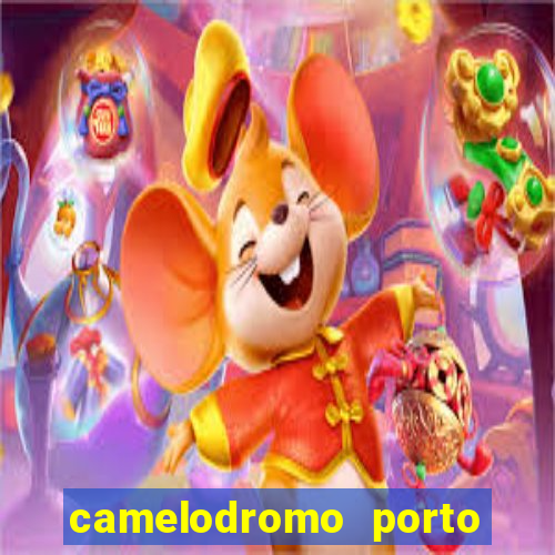 camelodromo porto alegre lojas